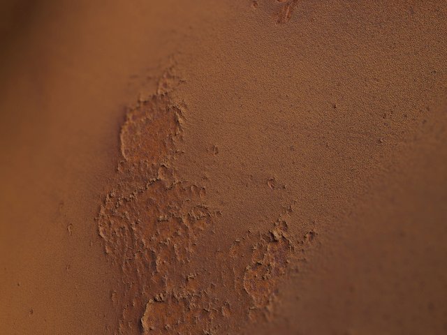 Nahaufnahme des Dekors 330 rost tief