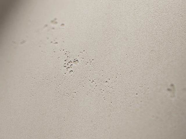 Nahaufnahme des Dekors 223 vintage hell